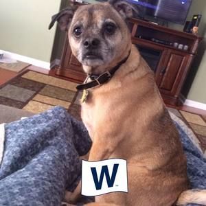 Meet your Posher, Richard